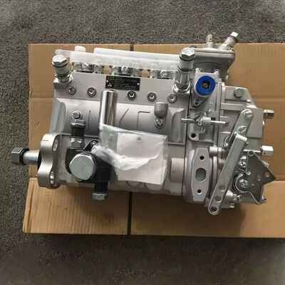Excavator Spare Parts WP6G125E Diesel Injection Pump B6AD548G-R BH6PN120R 13053063 for SDLG Machinery